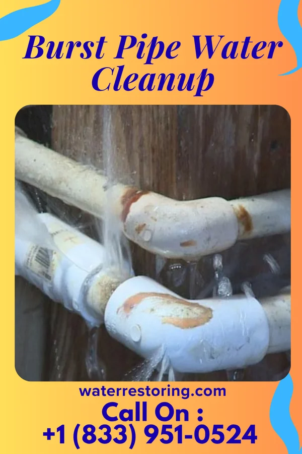 Burst Pipe Water Cleanup in Claire City, SD