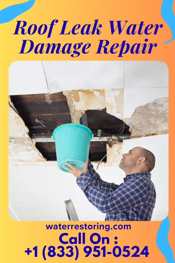 Roof Leak Water Damage Repair in Claire City, SD