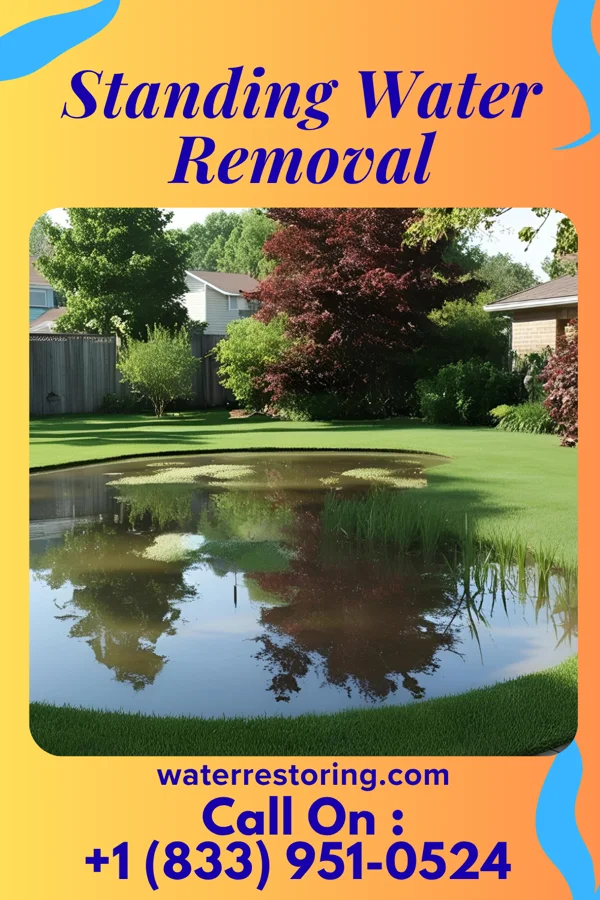 Standing Water Removal in Claire City, SD
